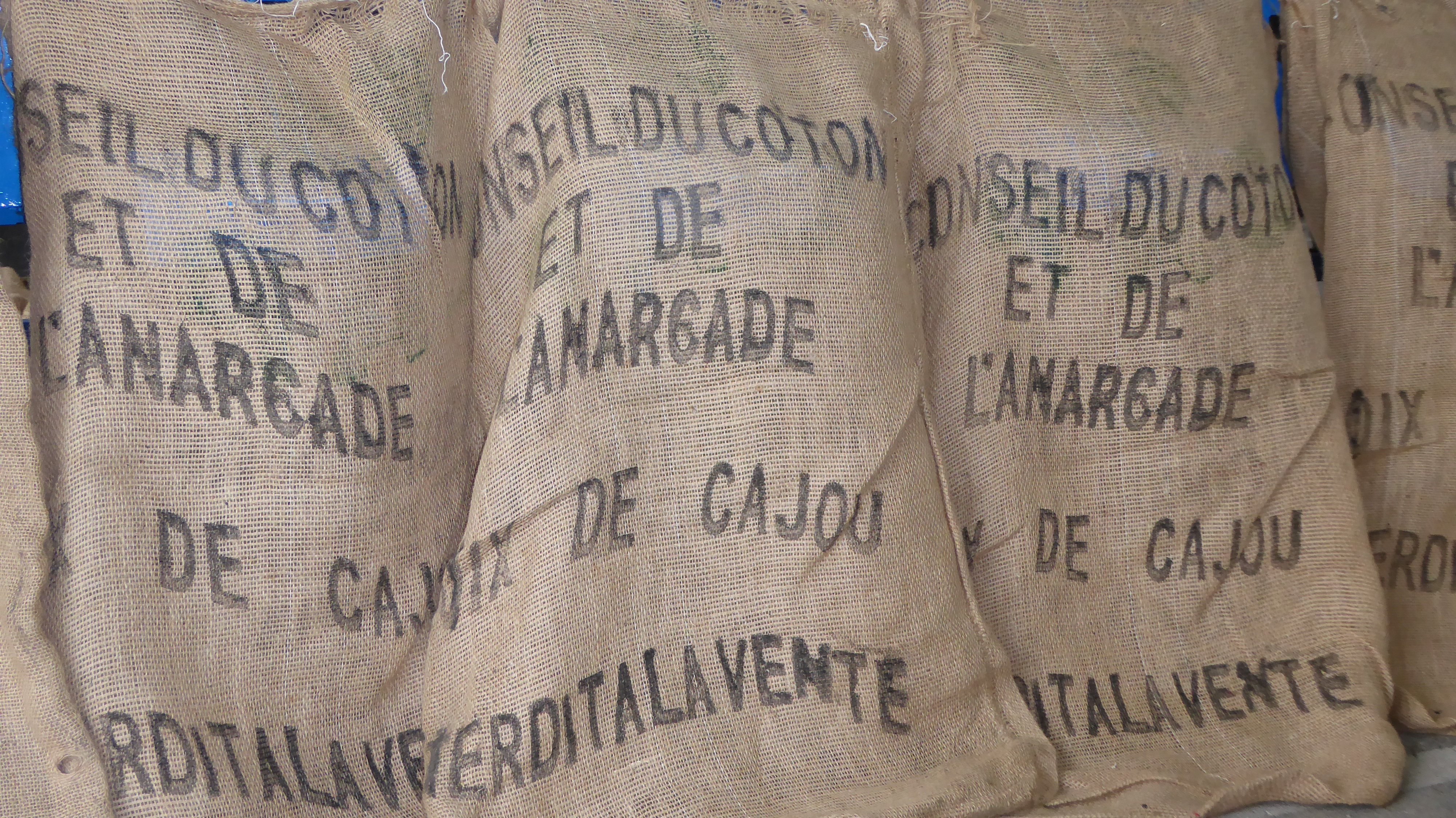 
           Les transformateurs de noix de cajou en Côte d'Ivoire au bord du gouffre 