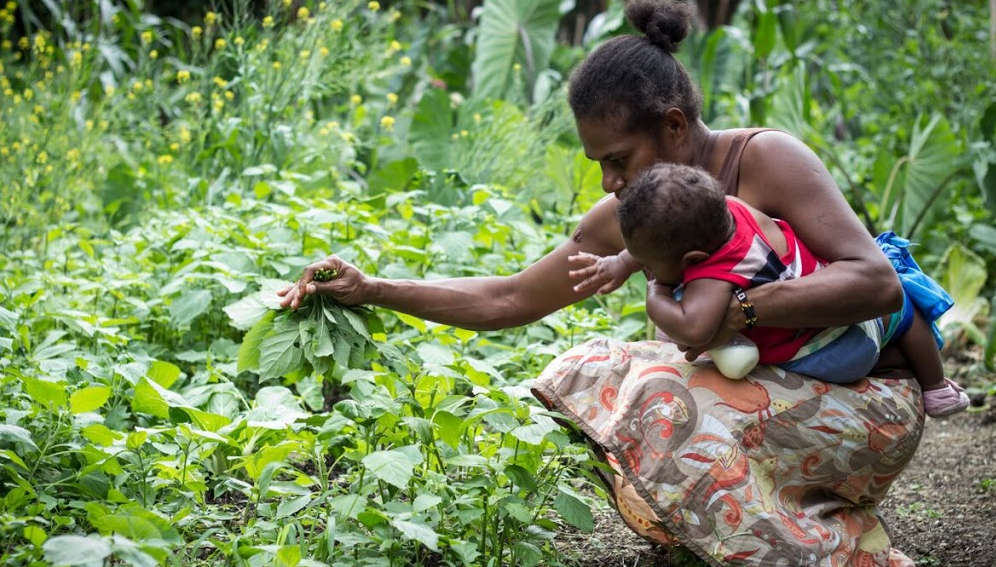 
          Nous devons réparer les systèmes alimentaires pour lutter contre le changement climatique