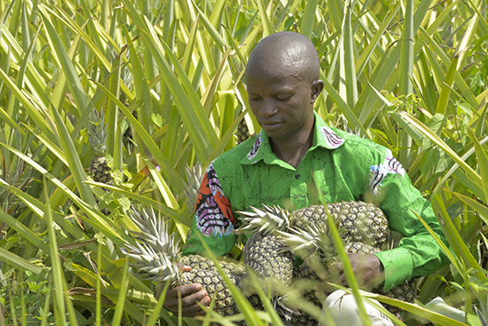 
           ABC Fund engage €3 millions dans la micro finance en faveur des agriculteurs au Bénin et au Ghana 
