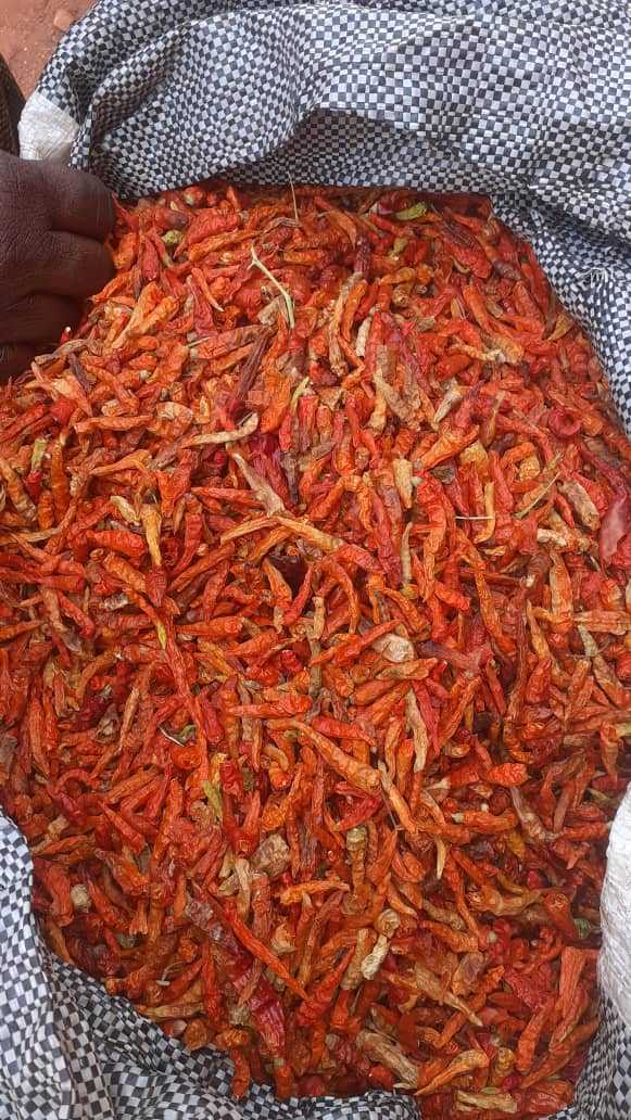 Piment 