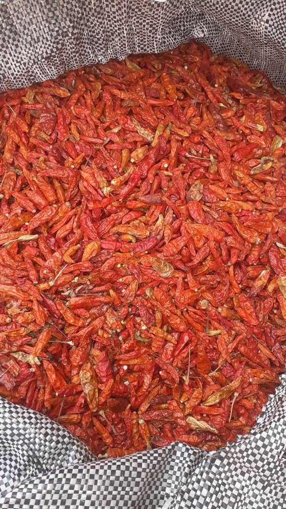 Piment 