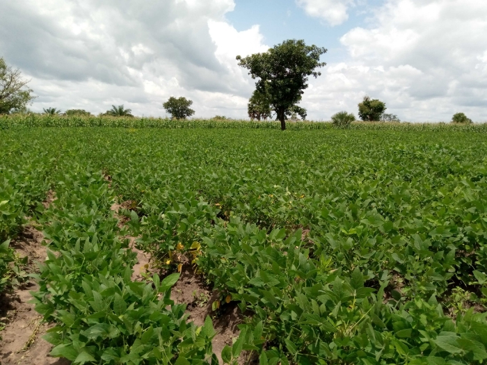 Visite de terrain avec les agents de Soy-C02 