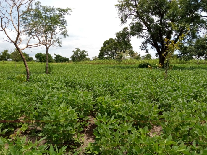 Visite de terrain avec les agents de Soy-C02 
