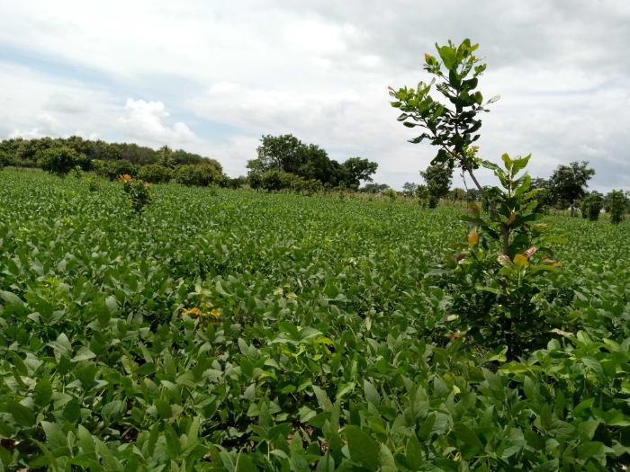 Visite de terrain avec les agents de Soy-C02 