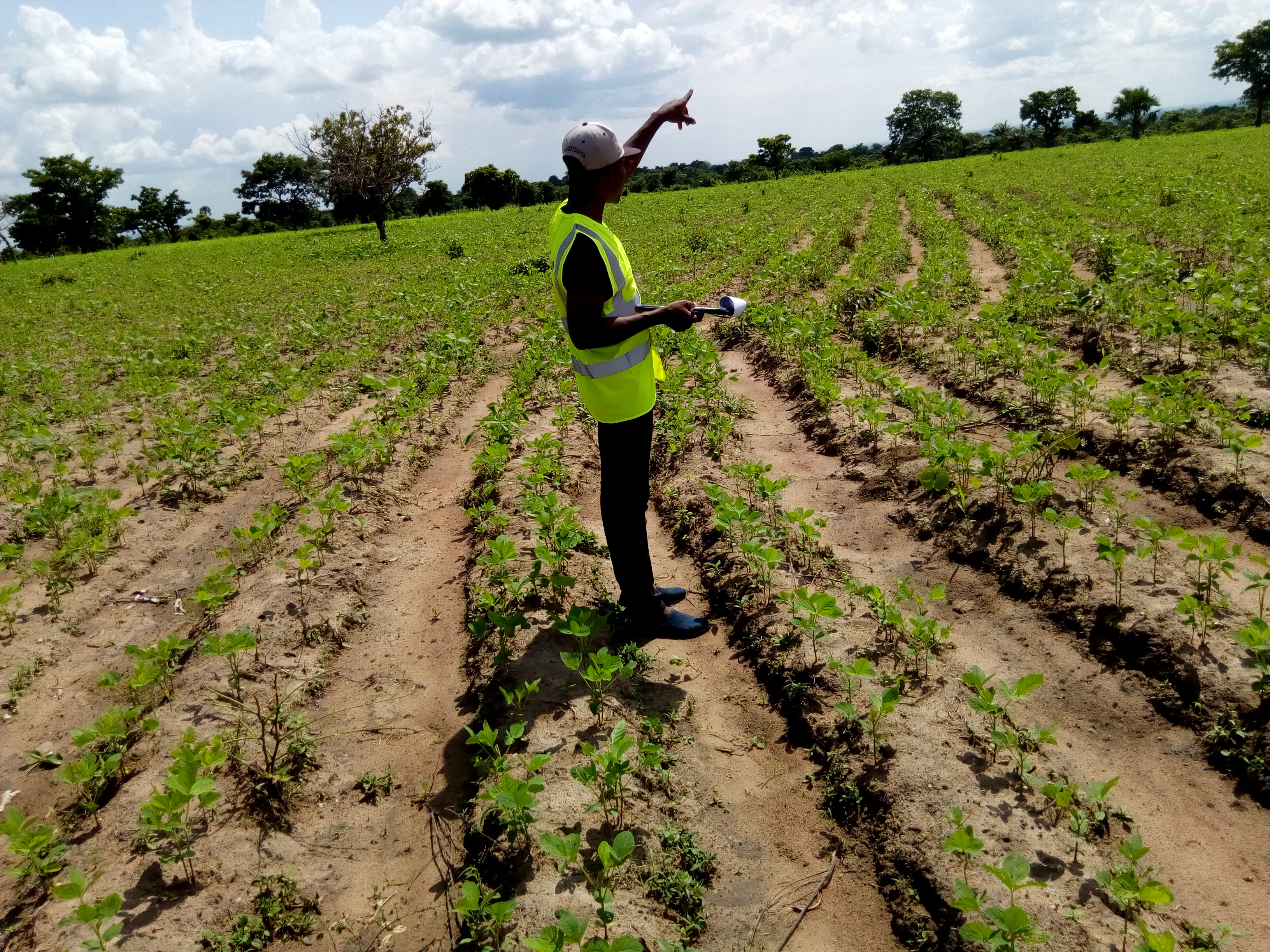 Audit terrain avec soycain