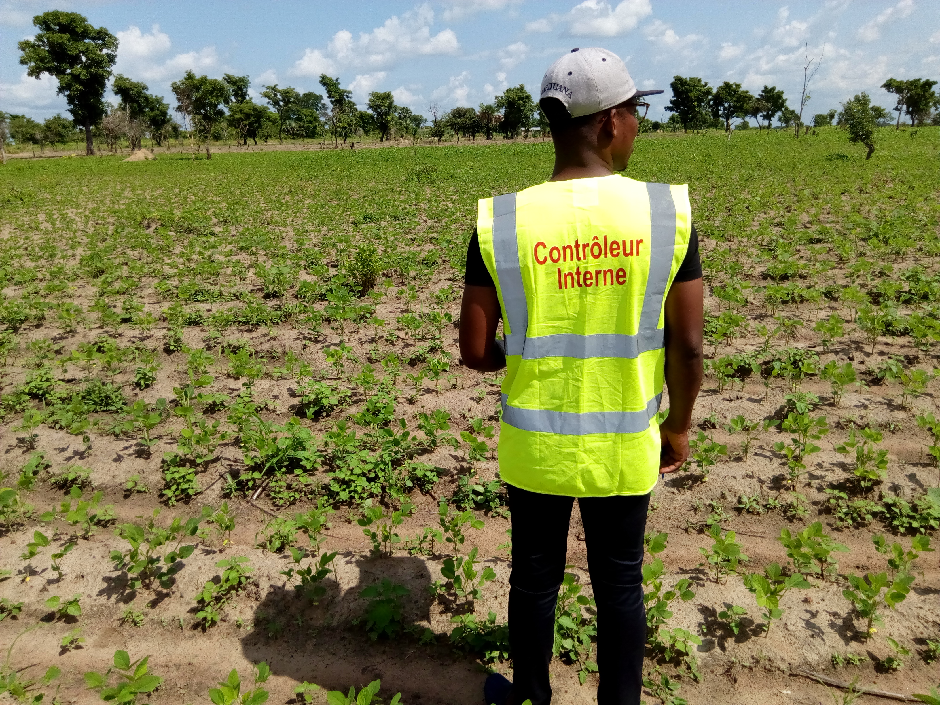 Audit terrain avec soycain