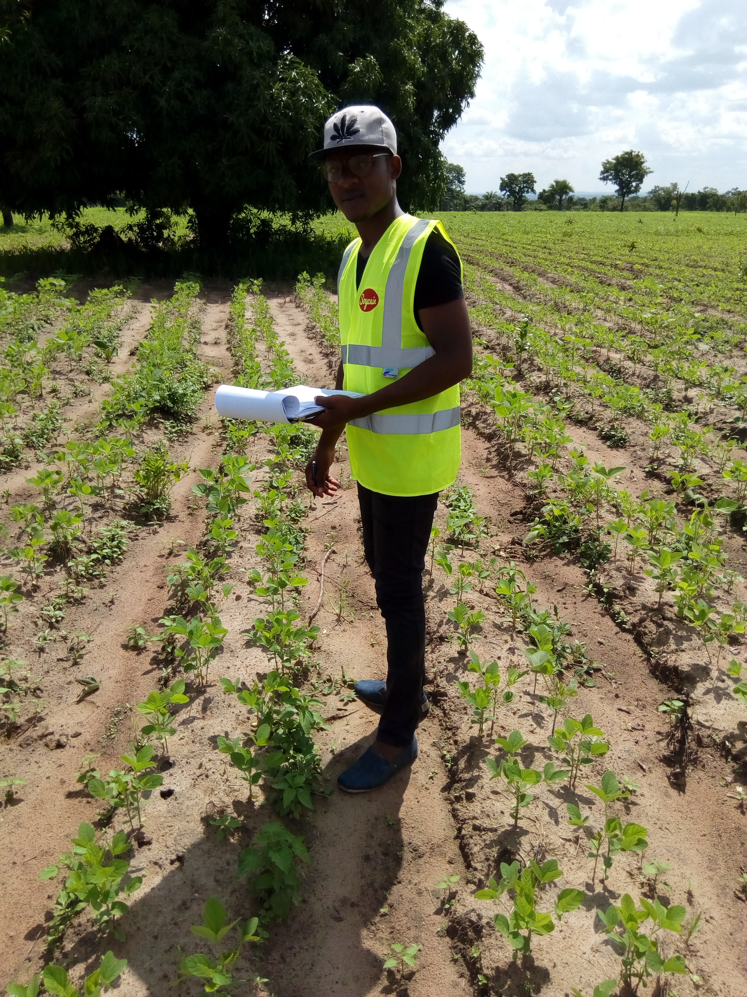 Audit terrain avec soycain