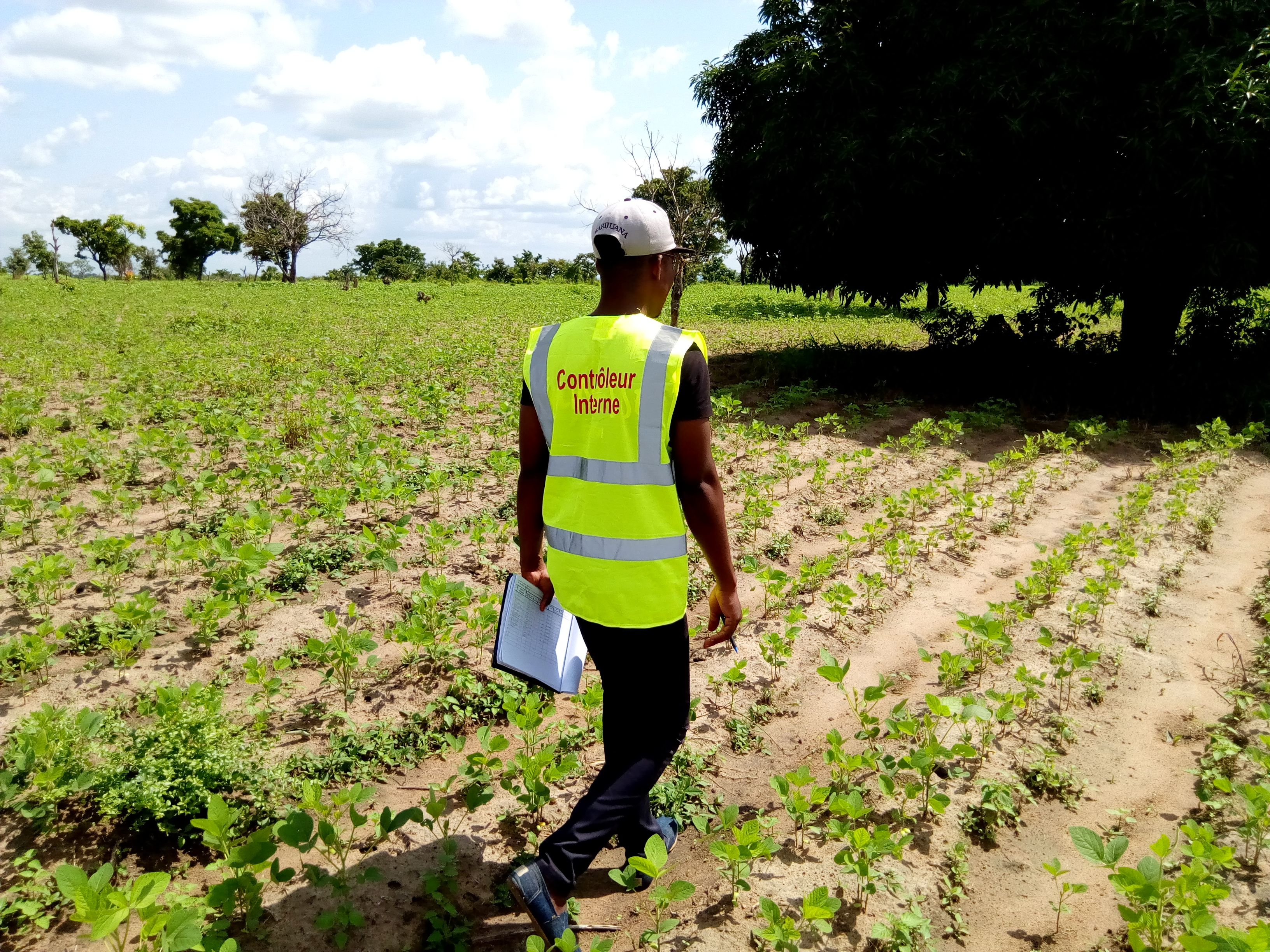 Audit terrain avec soycain