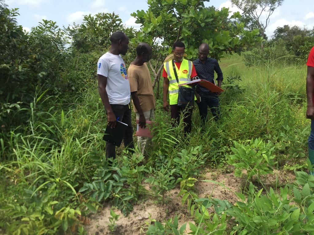 Audit externe dans la zone sotouboua