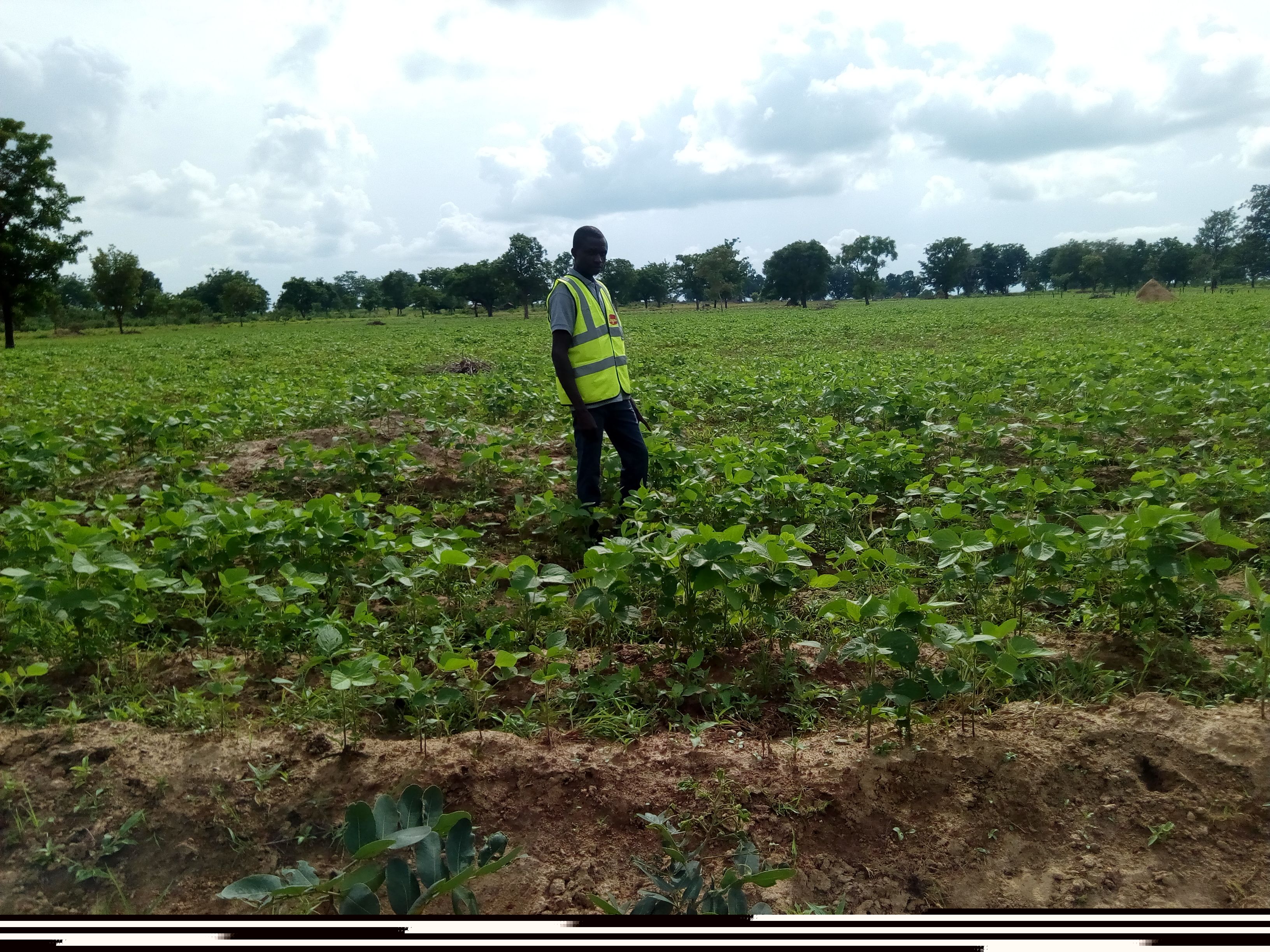 
          #Audit parcellair couplé D'AAS Kante