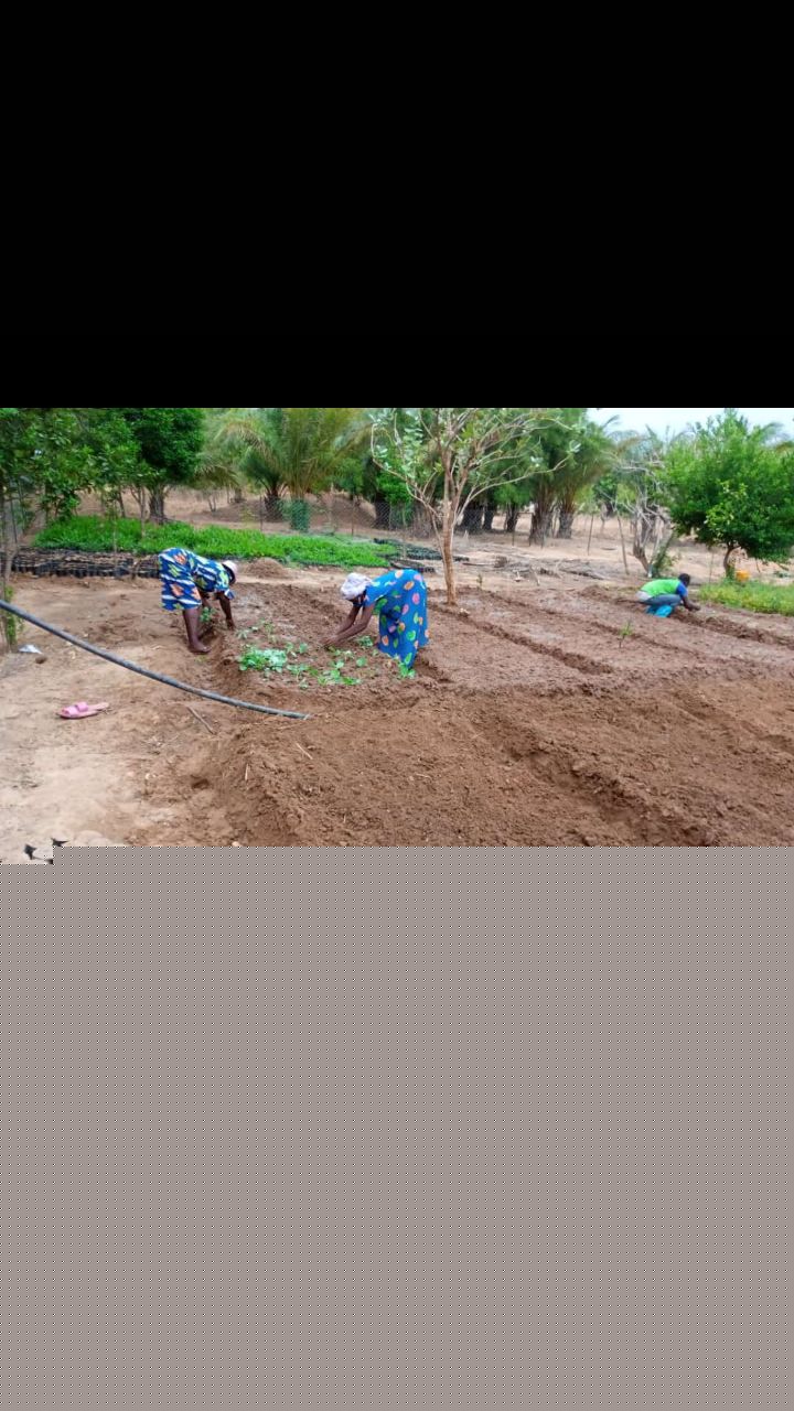 
          Edoh  ATCHADE