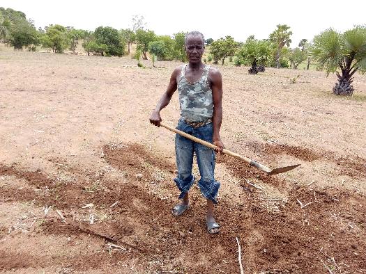 Soycain- TOGO/ Agronome Dapaong-Tandjouaré/Savane