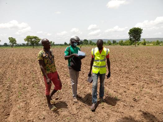 Soycain- Togo/ ATCHADE,Agronome Savane