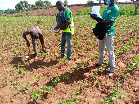 Soycain- Togo/ ATCHADE,Agronome Savane