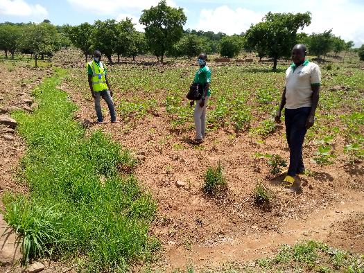 Soycain- Togo/ ATCHADE,Agronome Savane