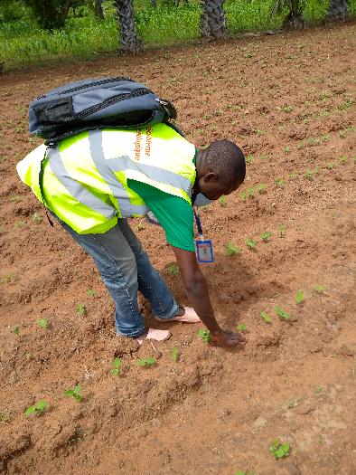 Soycain- Togo/ ATCHADE,Agronome Savane