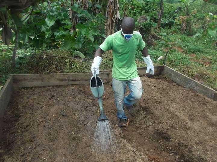 
          Activité d'irrigation manuelle