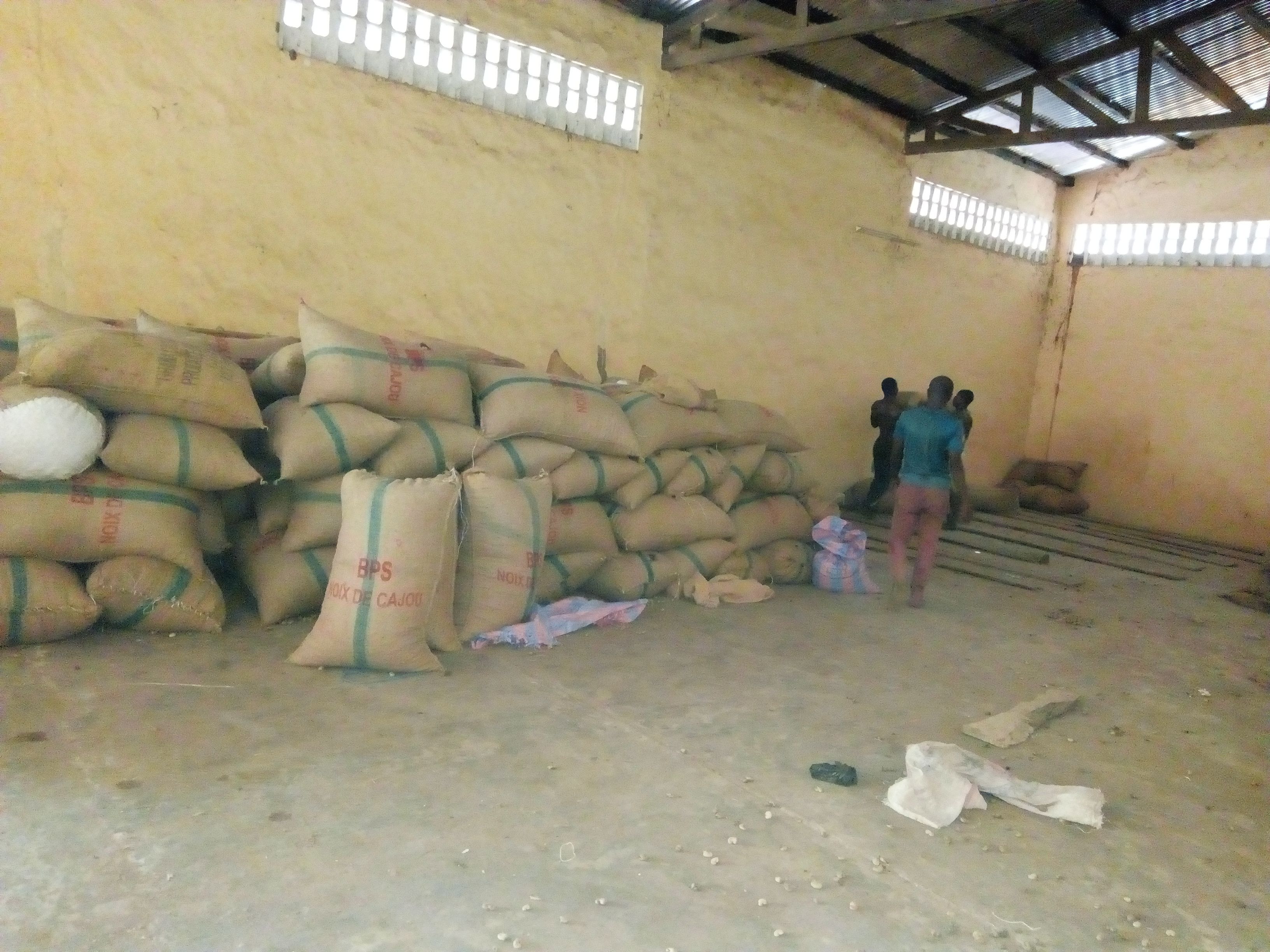 Commercialisation des noix de cajou au Bénin