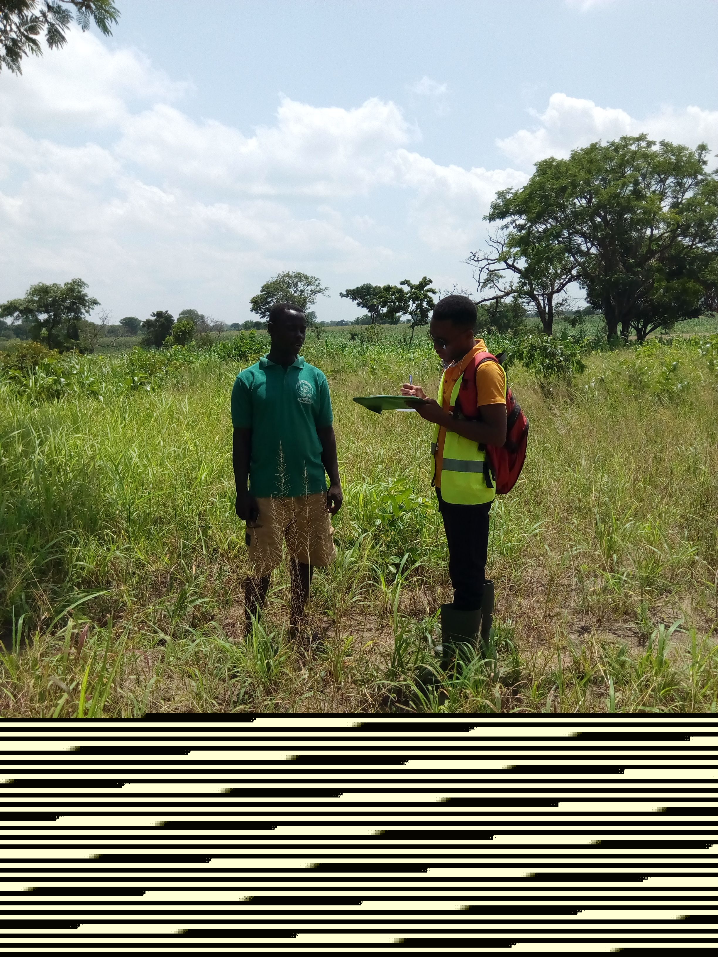 
          Soyacain togo