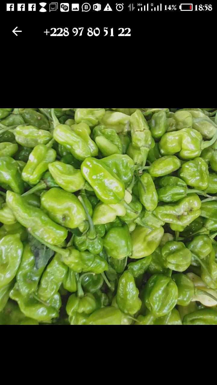 
          SOYCAIN Plateaux 1/MAWUSSI