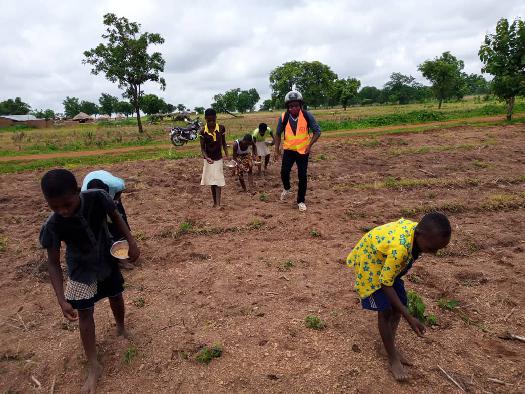 
          Soycain Bassar.
début des semis dans la zone bassar