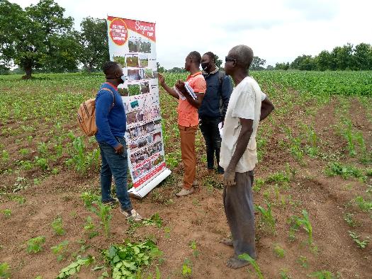 
          Mawussi. soycain Bassar.
la formation est possible en toute situation