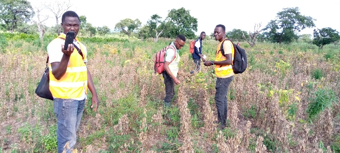 
          Mawussi. Soycain Bassar. Dans la production biologique, la documentation exige la réalisation des audits avant récolte pour une bonne traçabilité