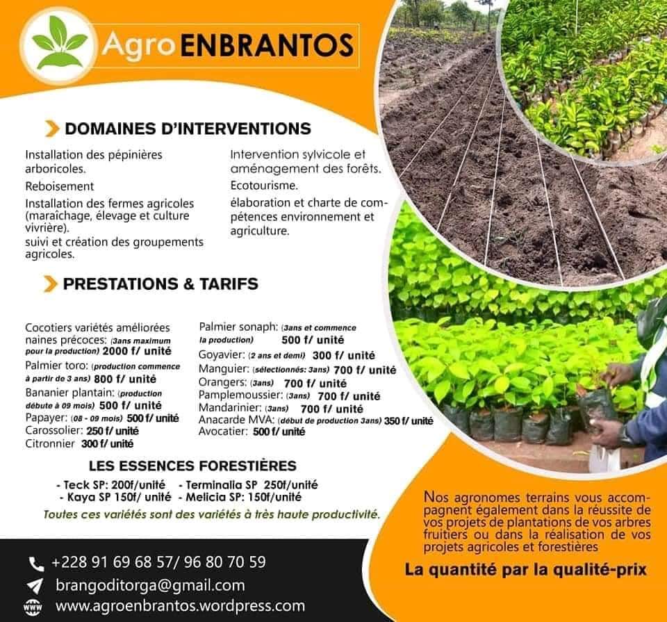 
          Enbrantos