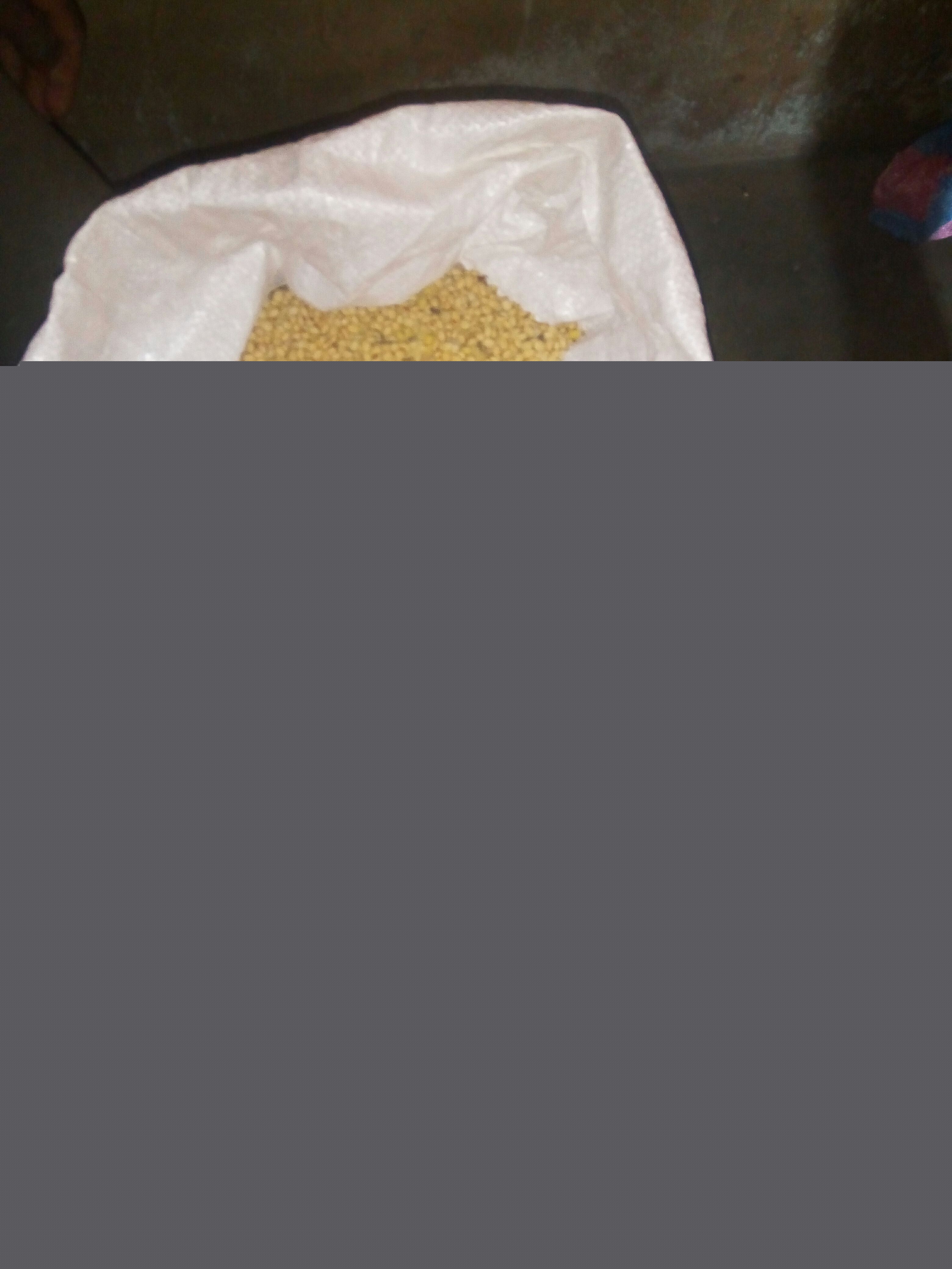 
          SOYCAIN BENIN AGRICULTURE BIO