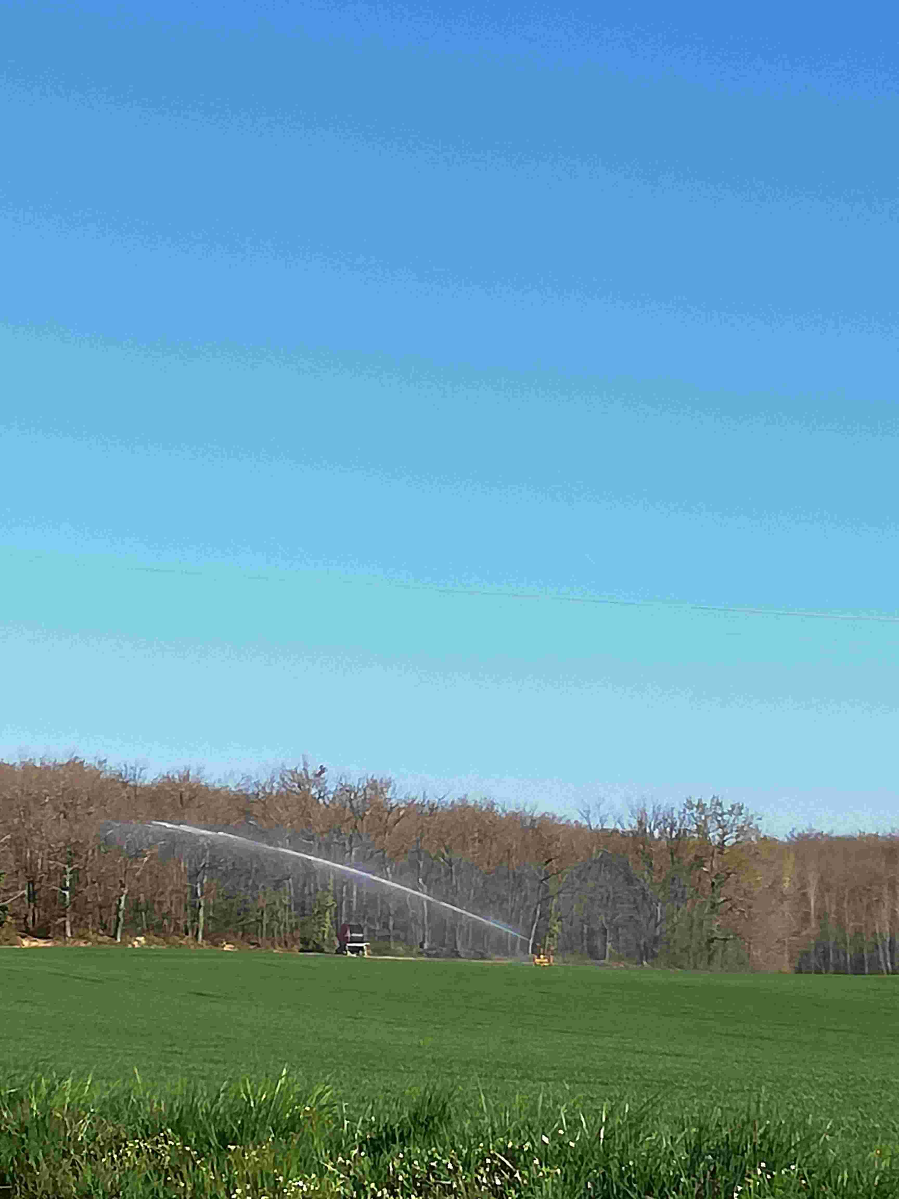 
          Arrosage des blés en haute Garonne le 26 mars 2019