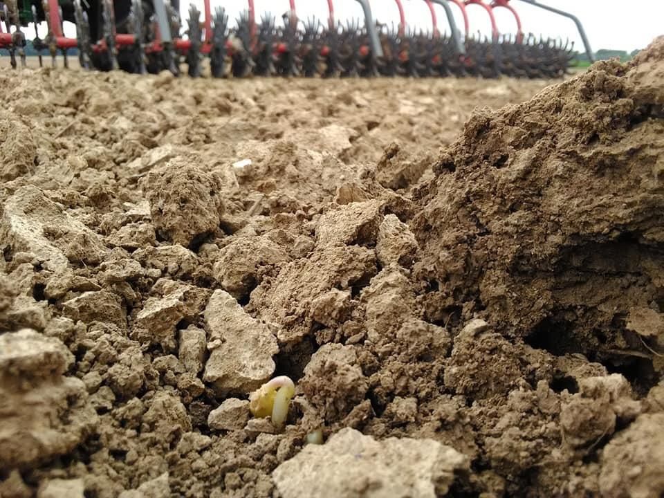 Il était tant que la pluies arrive,dans certaines zone il a fallu aider le soja à sortir