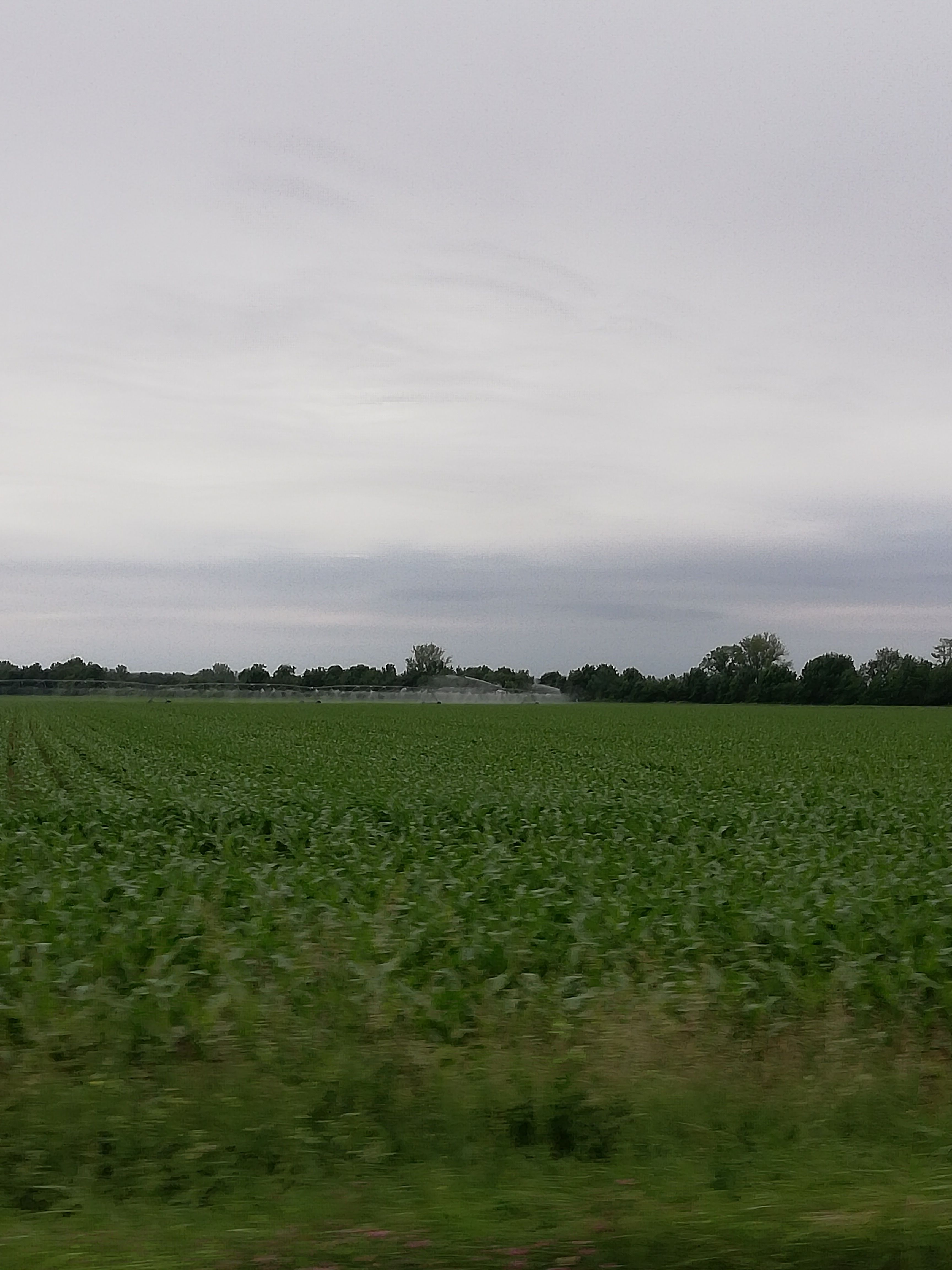 
          14 juin 2019 la campagne irrigation est lancée dans le 31