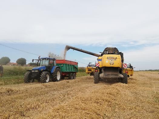 
          Moisson orge 2020