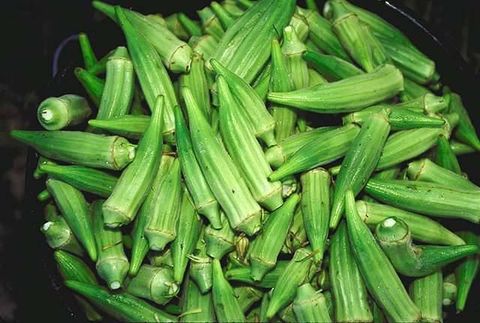 
          Ogboni 