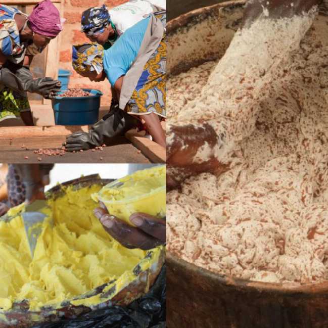 
          LA FABRICATION DE BEURRE DE KARITÉ AU BÉNIN