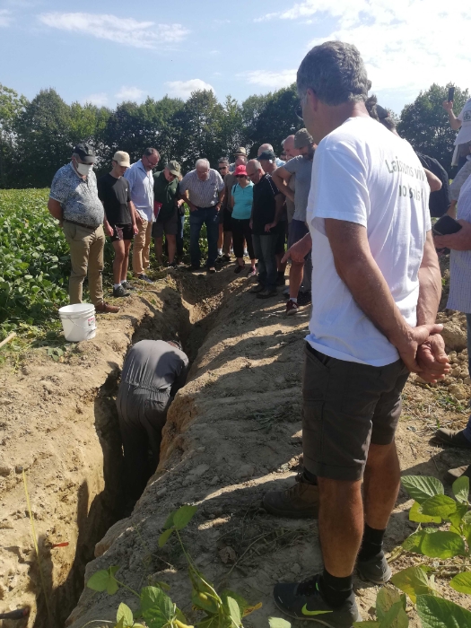 
          Bonjour réunion technique sur le soja en Pays béarnais dans le 74 à Gayon. Organisé par les Silos du Touch vue d'un profil cultural et des racines des racines des pieds de soja. 