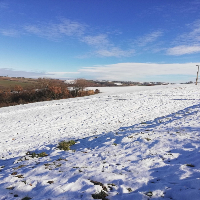 Bonsoir parcelle sous la neige.. Secteur volvestre en Haute-Garonne 