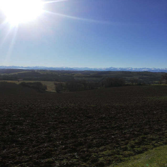 
          Bonjour champs labour avec colline et montagne Pyrénées. 