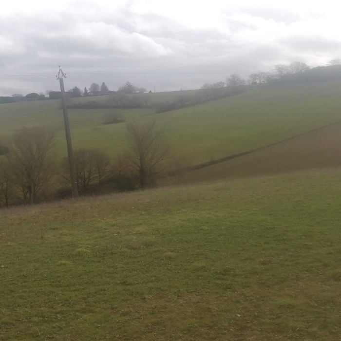 
          Bonjour céréales avec quelques haies brise vent. Secteur Haute-Garonne deyme. 