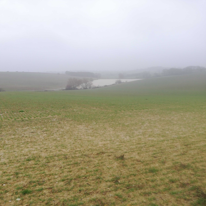 
          Bonjour sous la pluie depuis Plusieur hors...la terre est gorgée d'eau et les lacs sont pleins.. Secteur Tarn Rabastens  