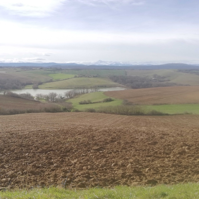 
          Bonjour campagne française avec vallon et chaîne de montagne...Ariège 