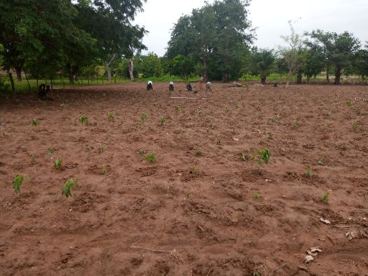 #produits d'ASEDA