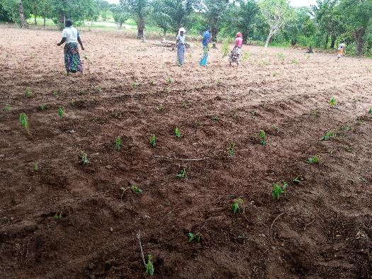 #produits d'ASEDA