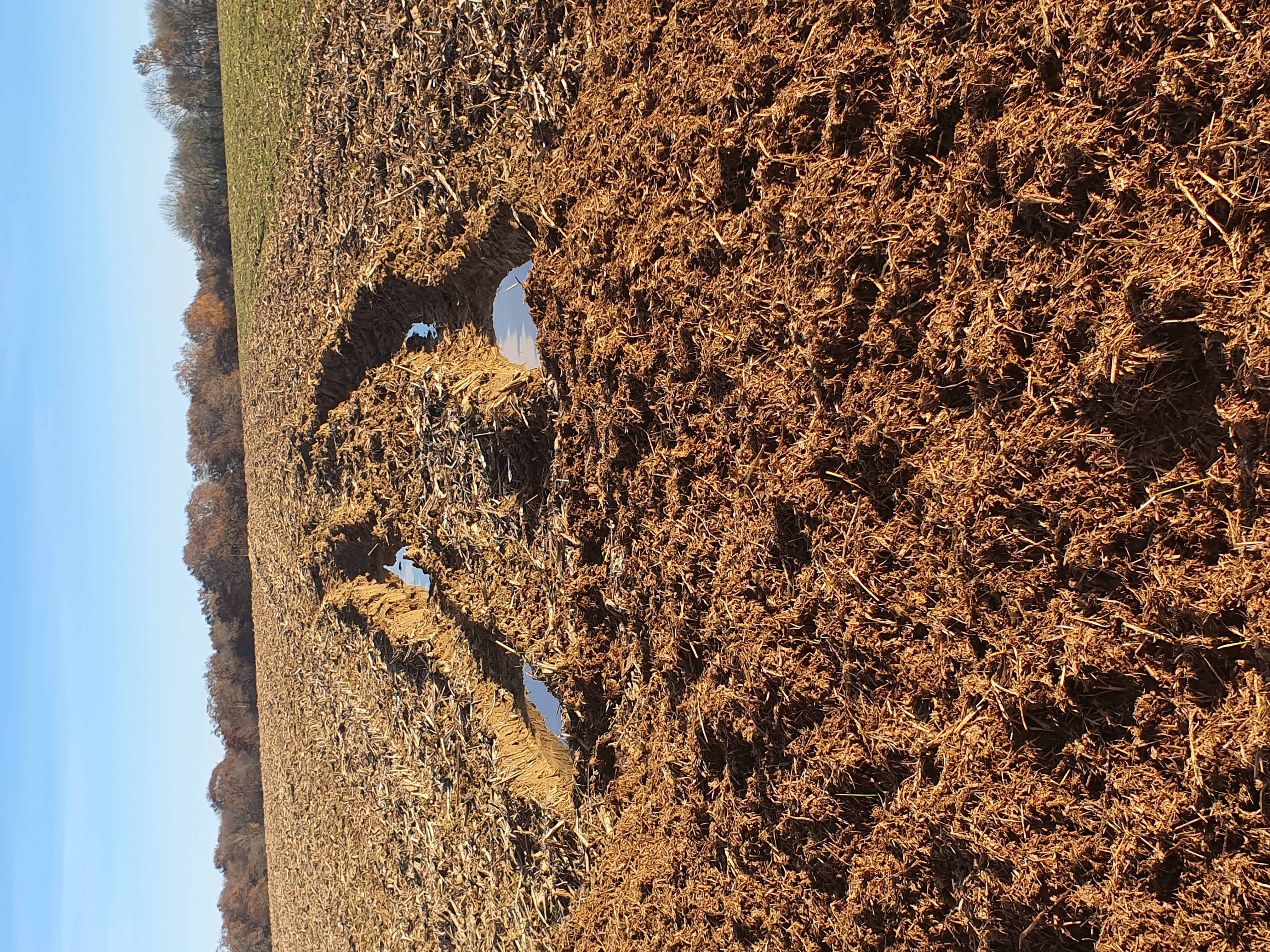 
          Il y a quelques jours, un agri a voulu épandre du fumier....du moins essayer..