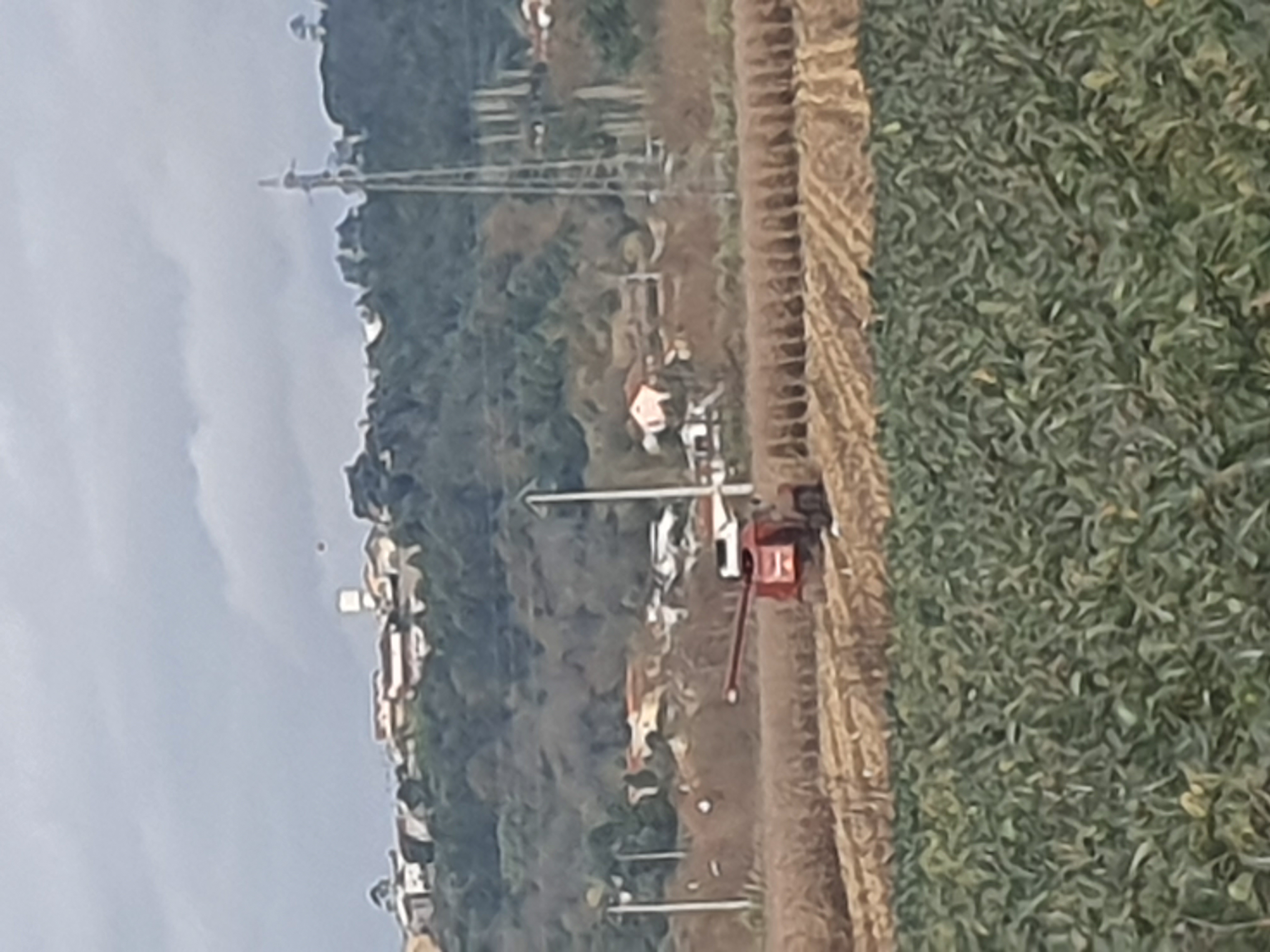 Portugal: la récolte du maïs se finit a l aide des chenilles comme ici en France.