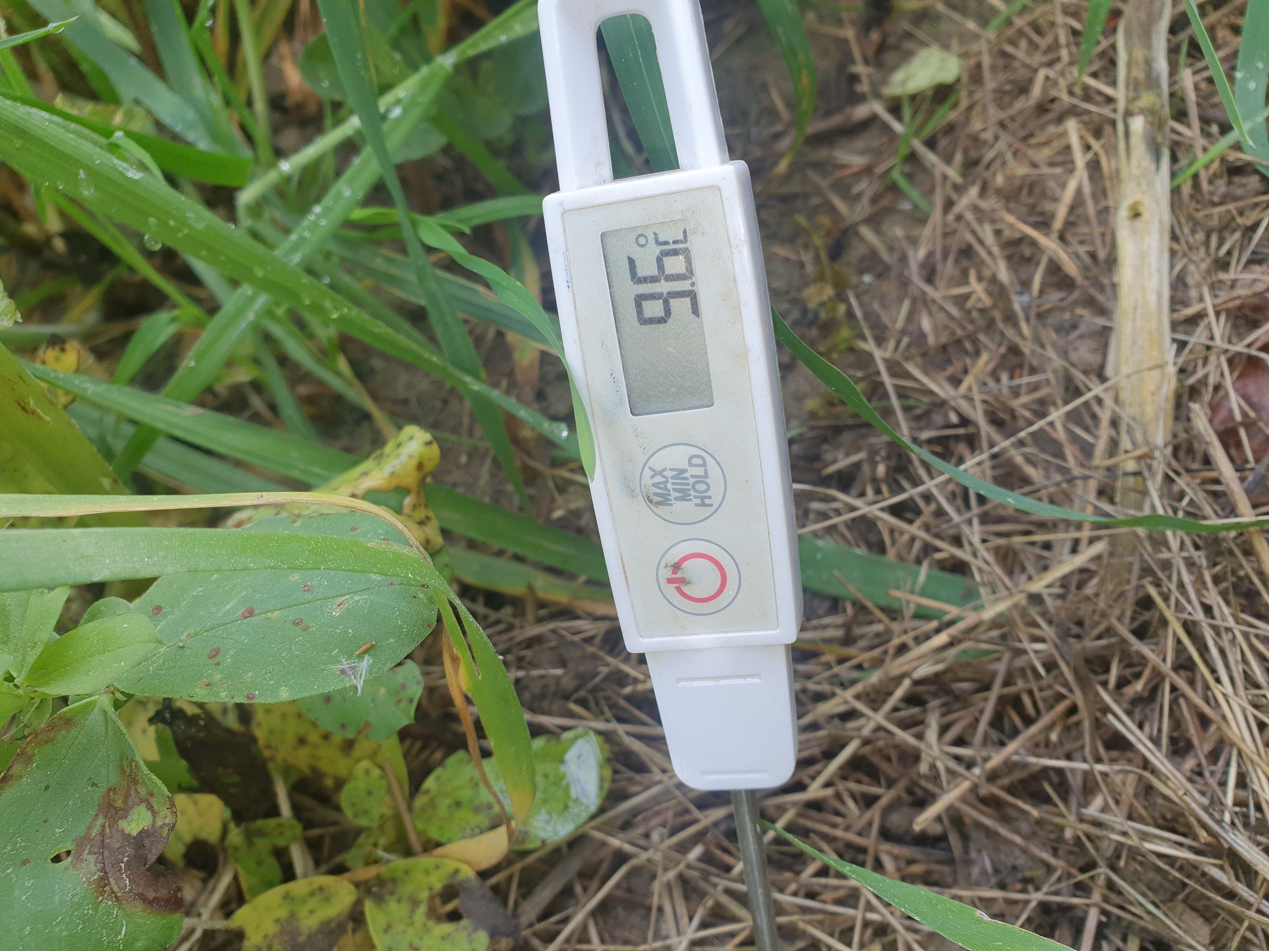 Petite curiosité. la température du sol est la même que a l abri. Par contre en plein courant d air on perd 3 degrés.