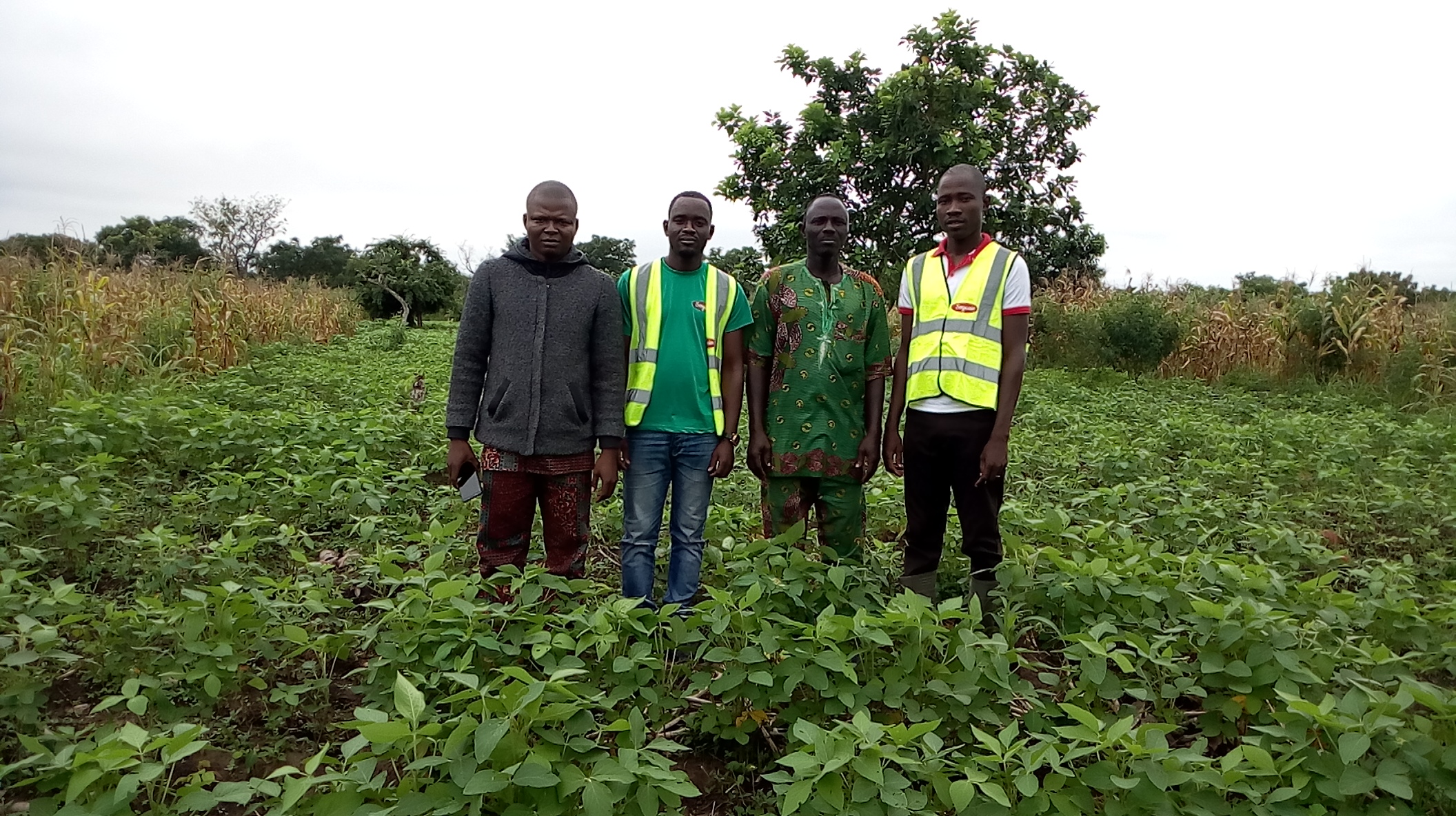 Suivi Production Soja Bio