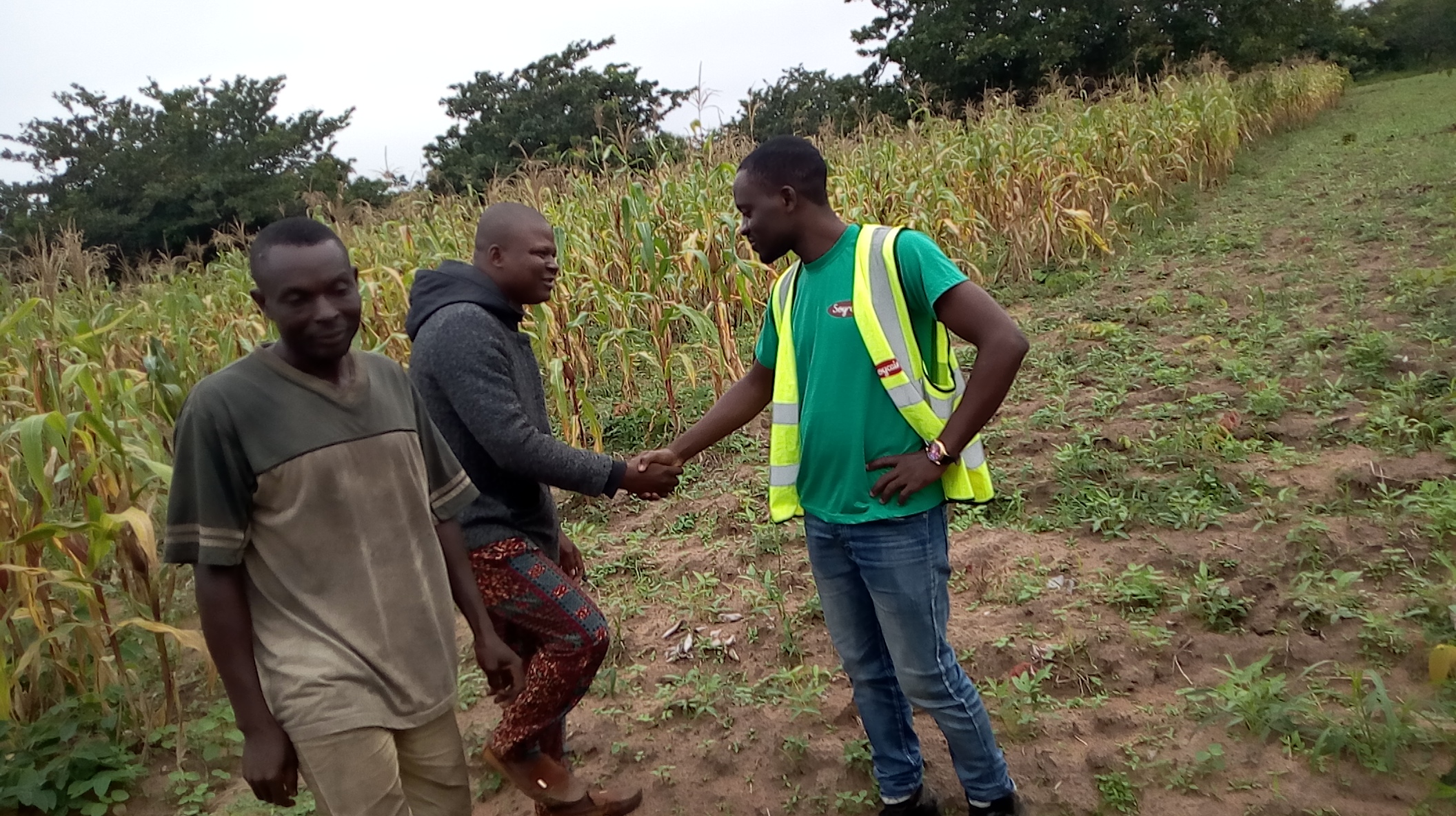 Suivi Production Soja Bio