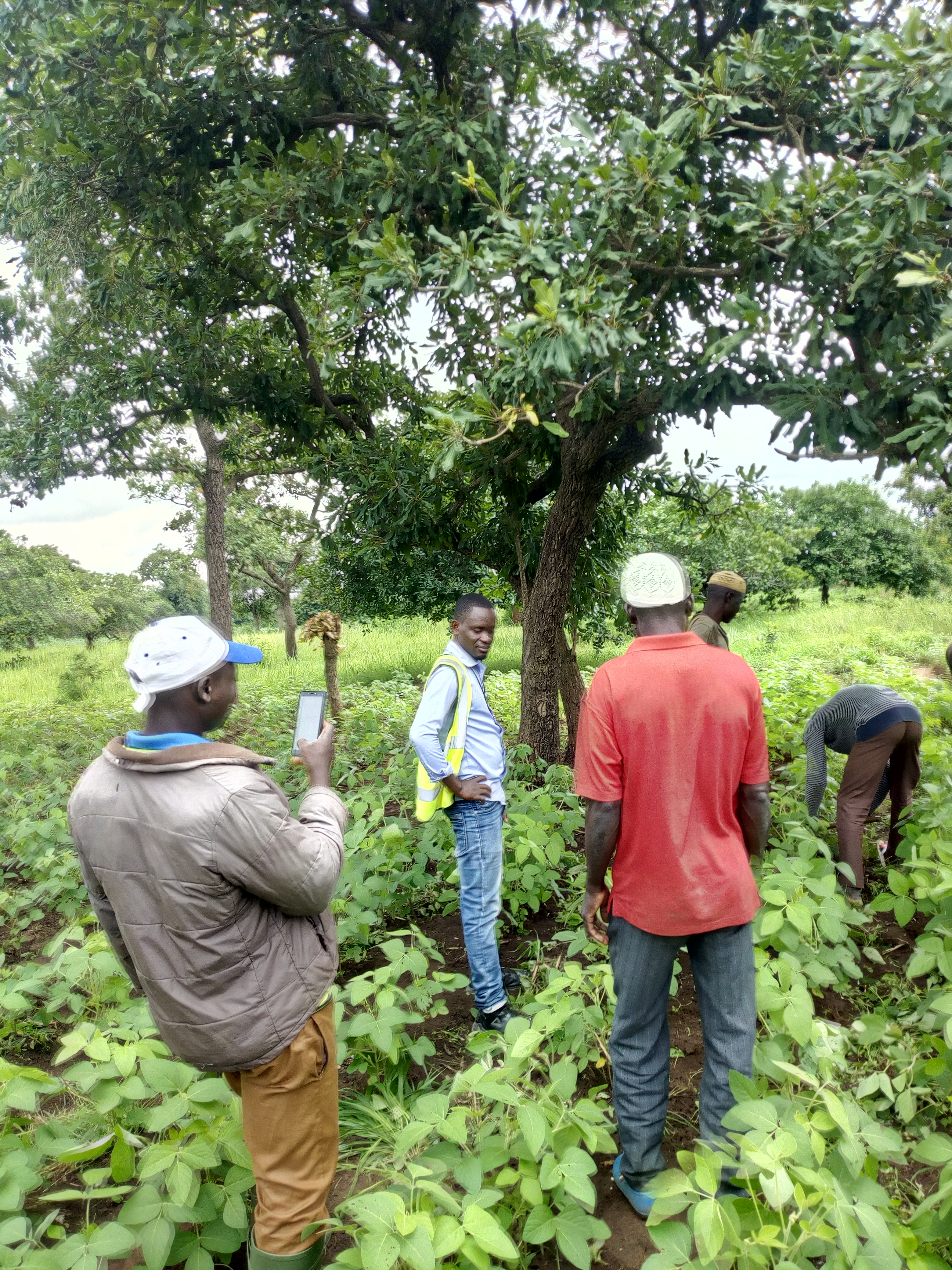 Soycain Bénin