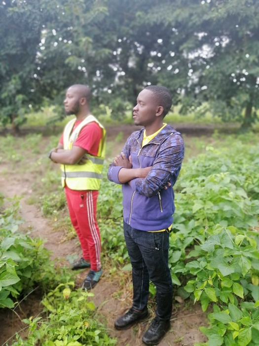 Visite de terrain